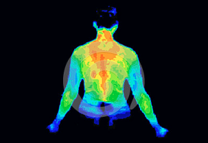 upper body thermography scan image