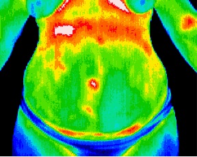 region of interest thermography scan image