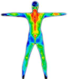 full body thermography scan image
