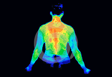 Prices and Types of scans – Thermography First LLC.
